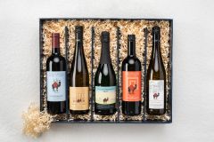 BOX_Karawane_2025_07