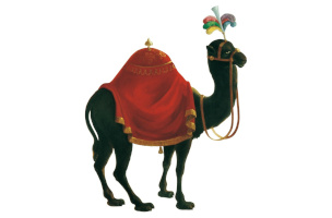 logo-kameel